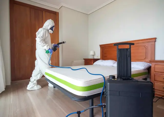Bed Bug Extermination Services
