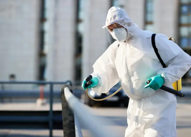 Cricket Exterminator Near Me