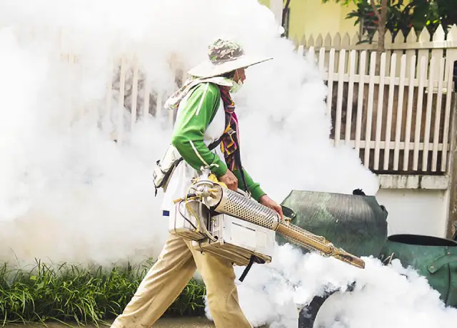 Local Pest Control Experts