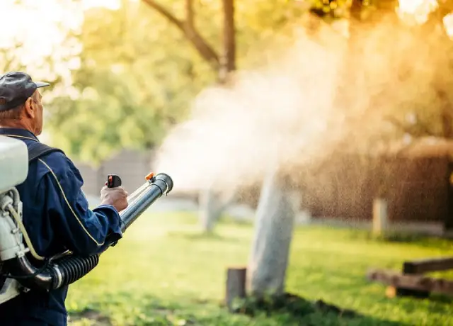 Mosquito Control Near Me