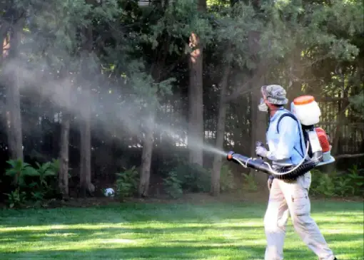 Mosquito Control Services