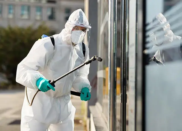 Professional Pest Control